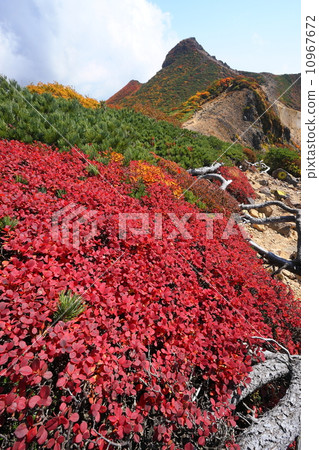 Autumn leaves of the yellowfin tuna and Nasu mountains / Asahi-dake Autumn leaves of the yellowfin tuna and Nasu mountains / Asahi-dake 10967672