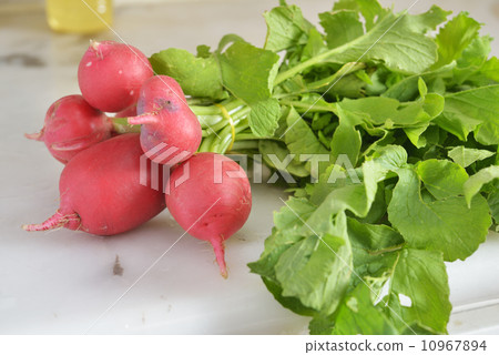 Bunch of radish 10967894