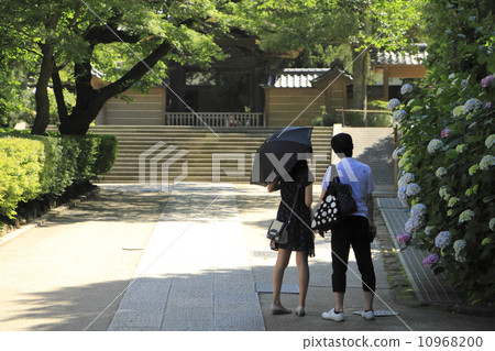 這個時期的夏天 這個時期的夏天 10968200