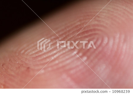 Finger tip 10968239