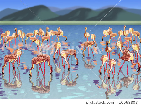 火烈鳥 10968808
