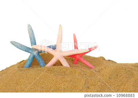 three starfish in sand three starfish in sand 10968883