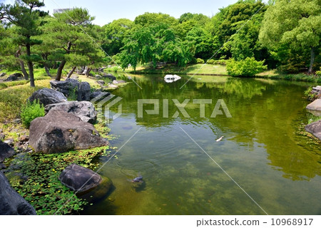 天鵝花園 10968917