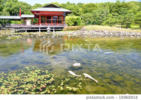 Japanese garden 10968918