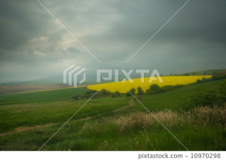 Yellow cone field 10970298