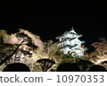 Hirosaki Castle castle tower night view 10970353