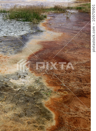 Grand prismatic hot spring 10970901