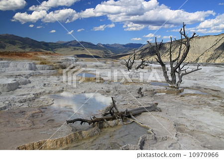 Yellowstone national park 10970966