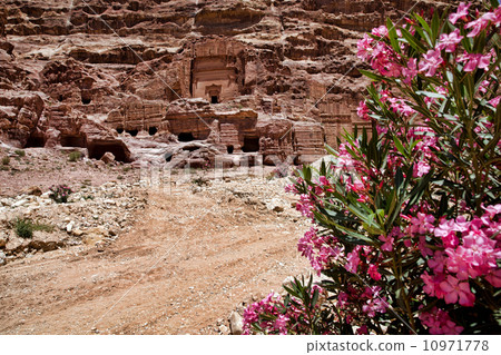 Petra Jordan 10971778