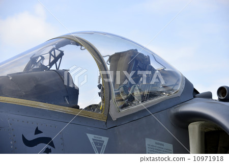 Harrier Harrier 10971918