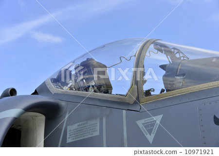 Harrier 10971921