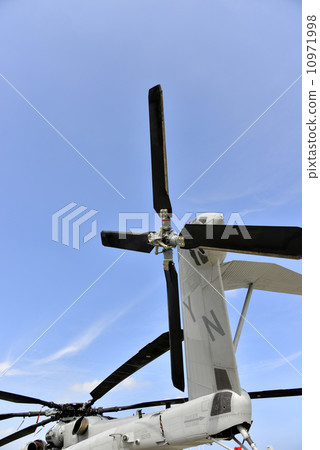 Super Stallion 10971998