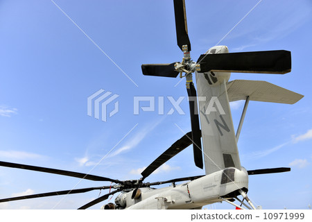 Super Stallion 10971999