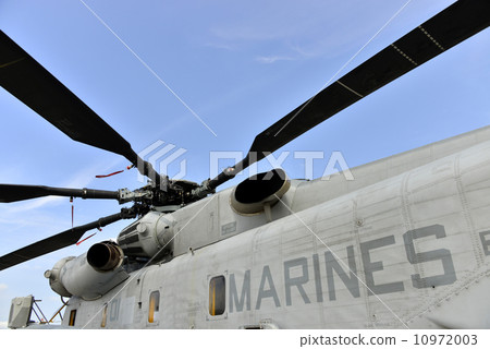 Super Stallion 10972003