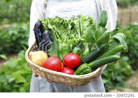 Fresh vegetables Fresh vegetables 10972291