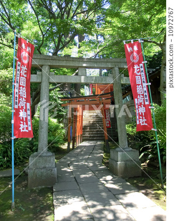 花園稻荷神社的稻荷山(東京都台東區上野公園) 花園稻荷神社的稻荷山(東京都台東區上野公園) 10972767