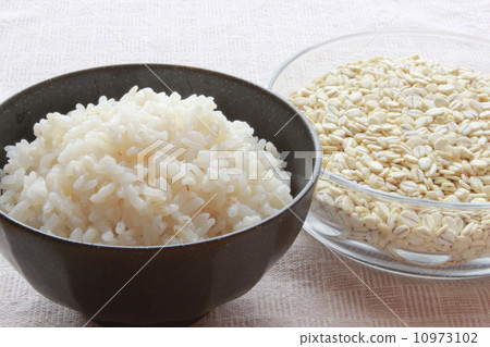Barley rice Barley rice 10973102