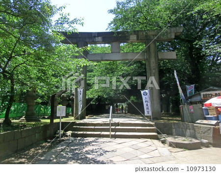 The large stone torii gate of Ueno Toshogu Shrine (Ueno Park, Taito Ward, Tokyo) 10973130
