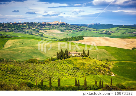 Tuscany at spring 10973182
