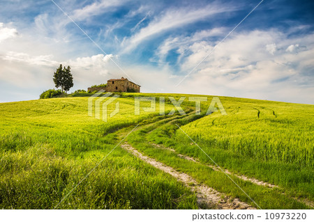 Tuscany at spring Tuscany at spring 10973220