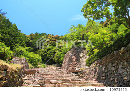 六月滋賀安土城 - 大街和石垣 10973253