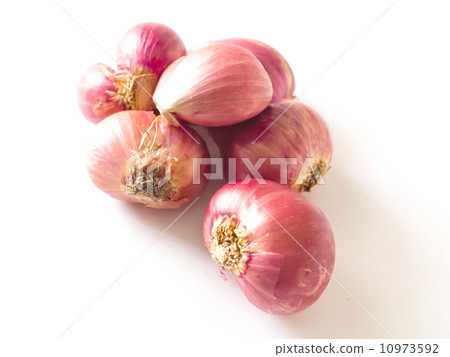 red onion 10973592