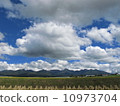 Yatsugatake and field 10973704