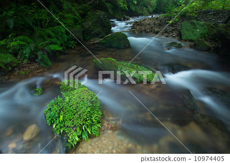 Yanbaru的清潔流動Higa河 10974405