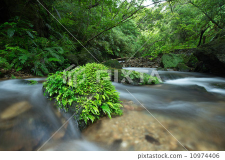 Yanbaru's Clean Flow Higa River Yanbaru's Clean Flow Higa River 10974406