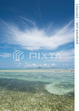 在海Bise的海洋海岸 10974421