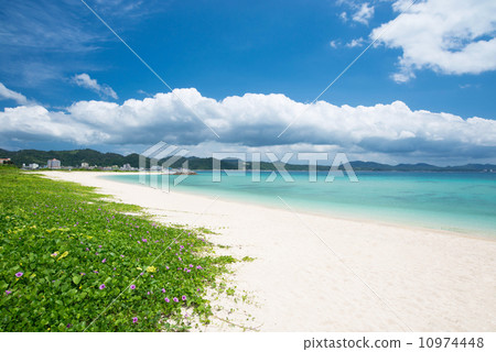 Okinawa sea 21st century forest beach 10974448
