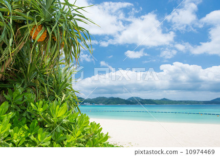 Okinawa sea 21st century forest beach Okinawa sea 21st century forest beach 10974469