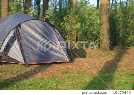 Tent In Forest Tent In Forest 10975440