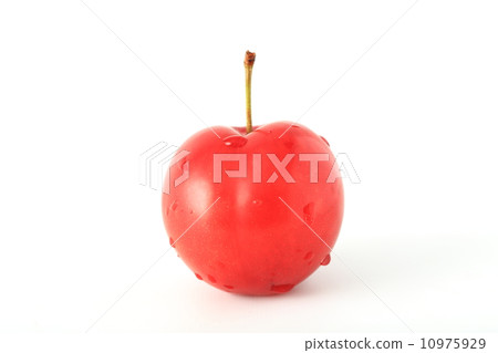 梅 梅 10975929