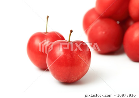 梅 梅 10975930