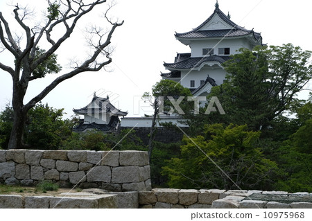 Iga Ueno Castle Iga Ueno Castle 10975968