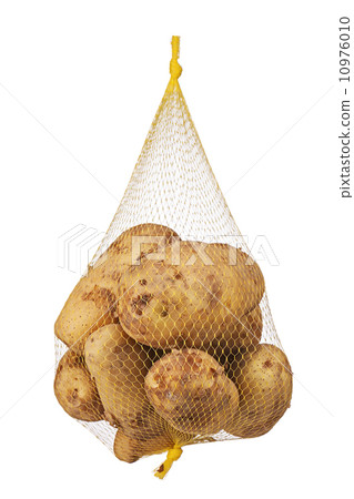 Crude, rotten, spoiled, organic potatoes in mesh bag. 10976010