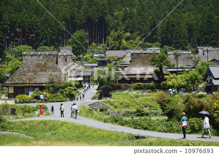 Kyoto Miyama Kayabuki no Sato 10976893