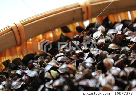 Buckwheat noodles 10977378