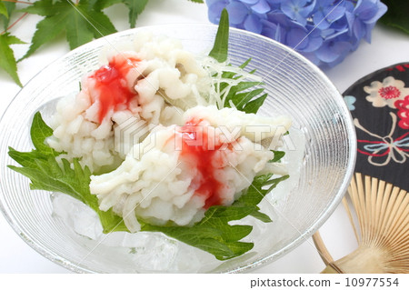 Tuna Yuhiki Japanese food white background 10977554