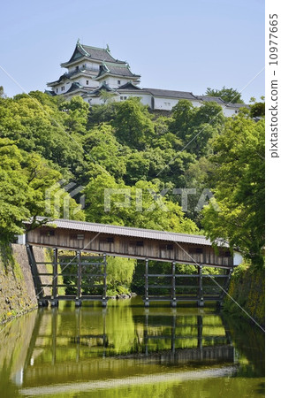 和歌山城堡城堡塔橋走廊 和歌山城堡城堡塔橋走廊 10977665