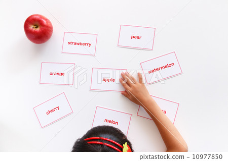 學習英語單詞 10977850