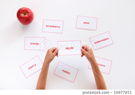 學習英語單詞 10977851