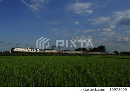 睡覺限量快遞仙后座 10978009