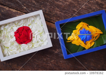 “支持花” “支持花” 10978162