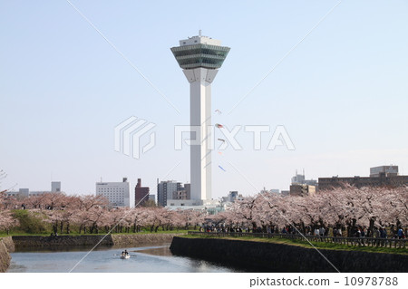 Spring Goryokaku Tower 10978788