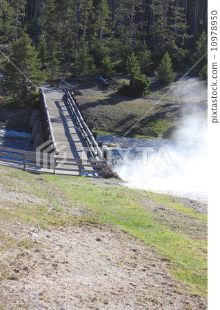 Yellowstone National Park 10978950