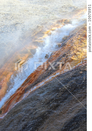 黃石國家公園 10978951