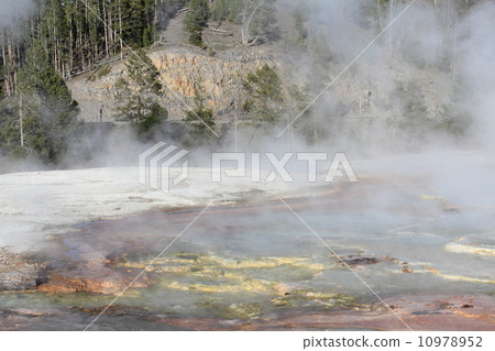 黃石國家公園 10978952