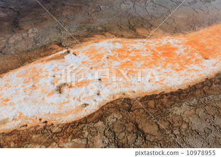 Yellowstone National Park 10978955